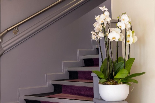 Hotel 64 Nice image 44